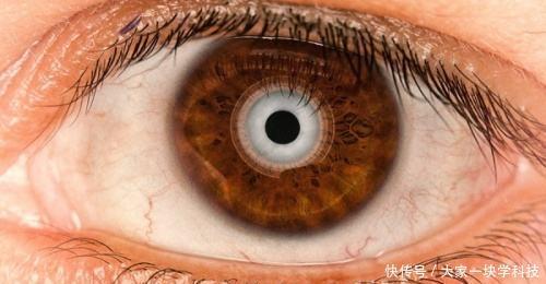 三D打印仿生技術(shù)取得新打破，仿生眼球，仿生脊柱或?qū)?wèn)世